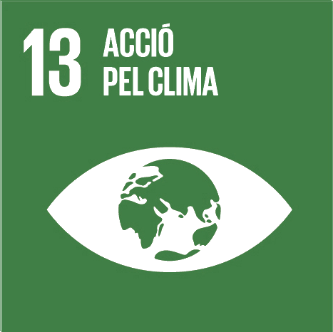 ods13
